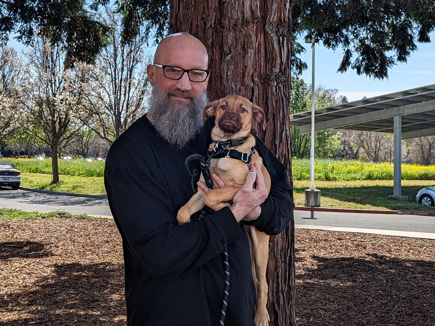 Recent Adoptions – Week of March 18