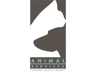 CCAS’s Free Pet Vaccinations & Microchips in Martinez