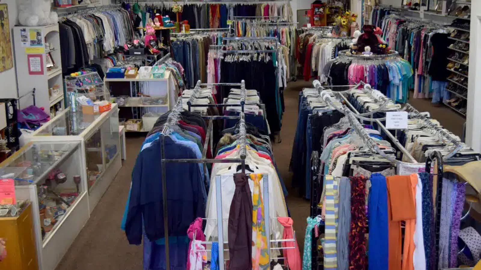 Mobile Adoptions at the Joybound Thrift Store