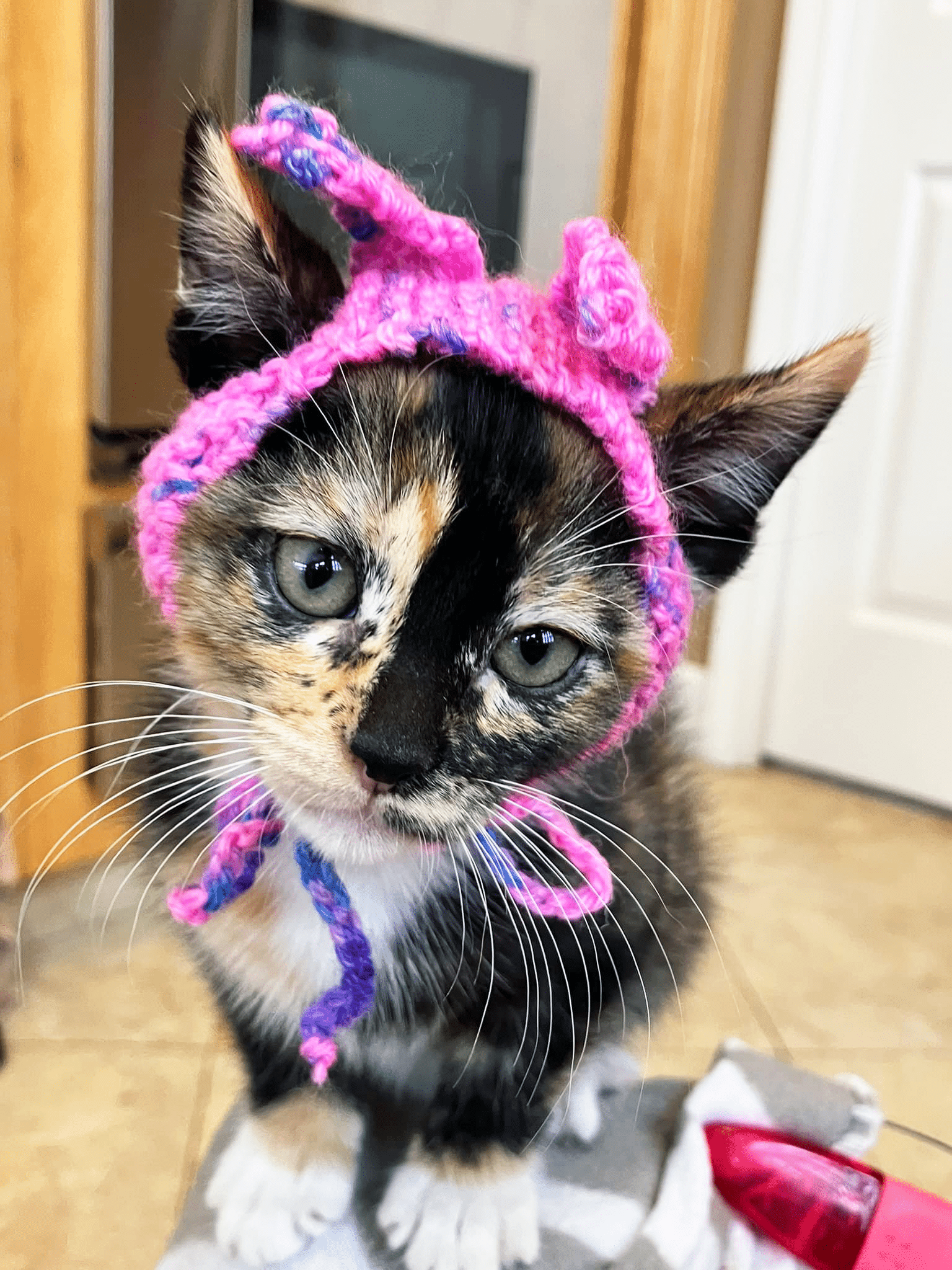A Volunteer with Tiny Hats & a Big Heart
