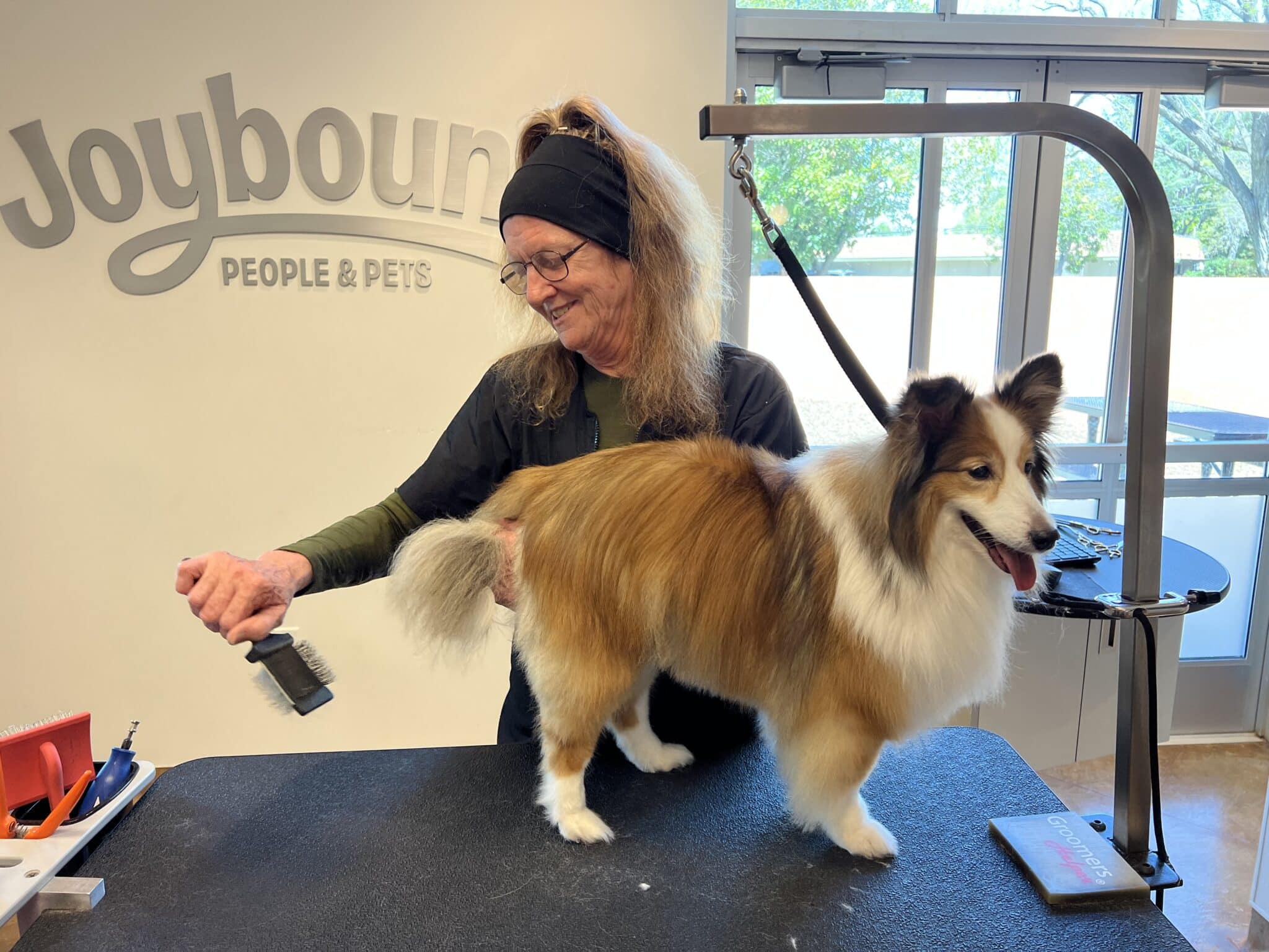 Rebuilding Her Life, One Dog at a Time