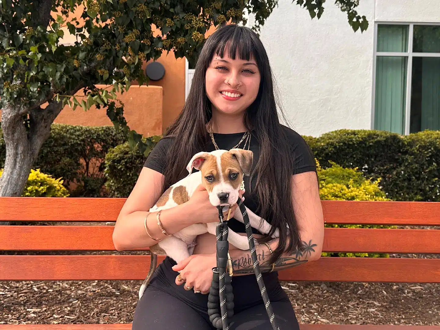 Adoption Recap – Week of June 2