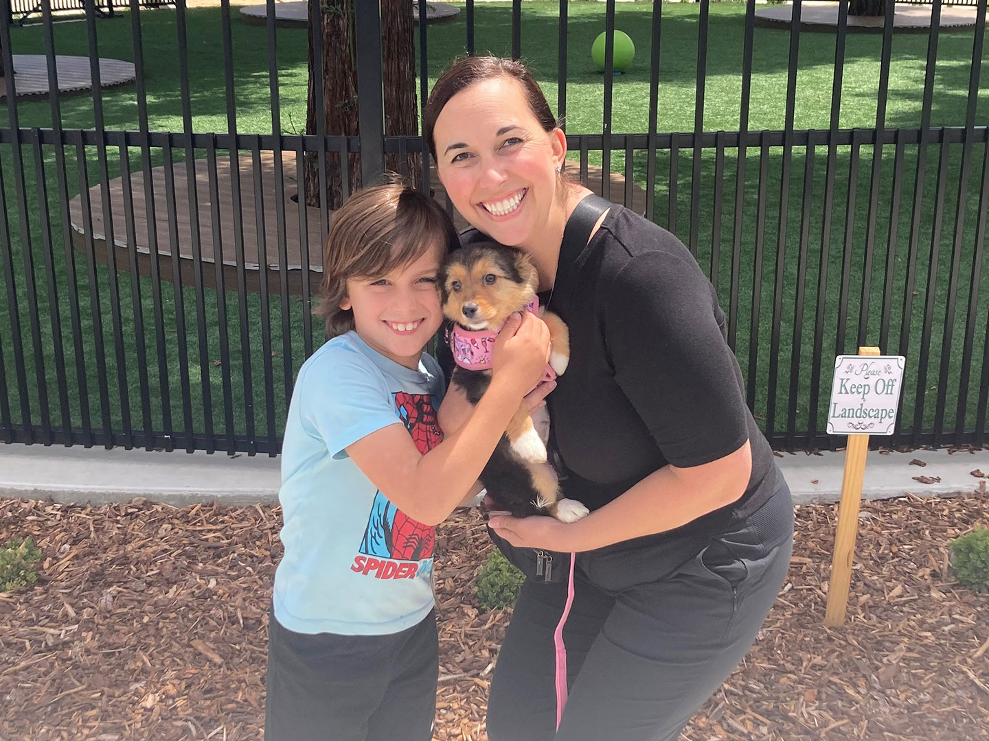 Adoption Recap – Week of June 9