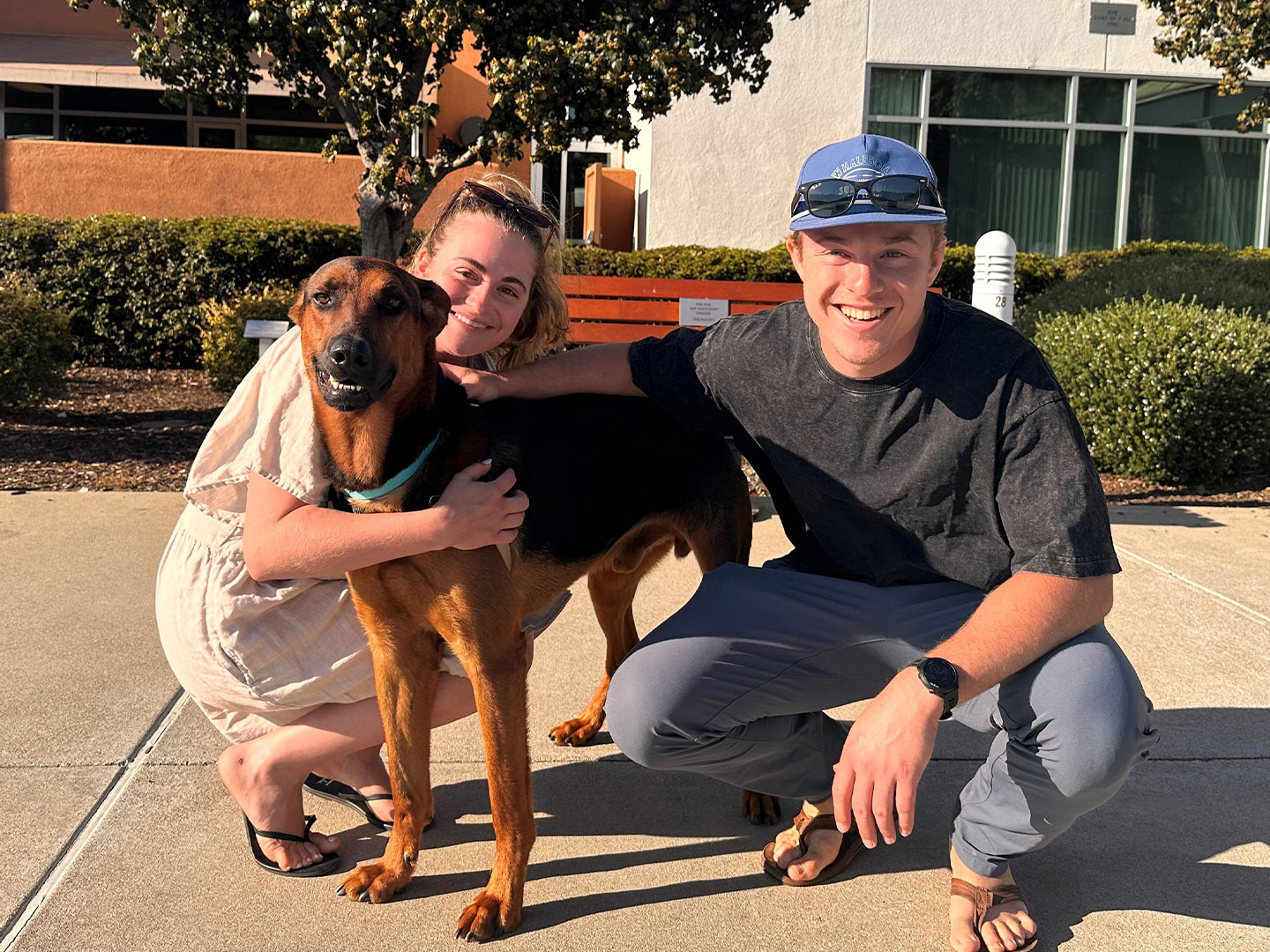 Adoption Recap – Week of August 18