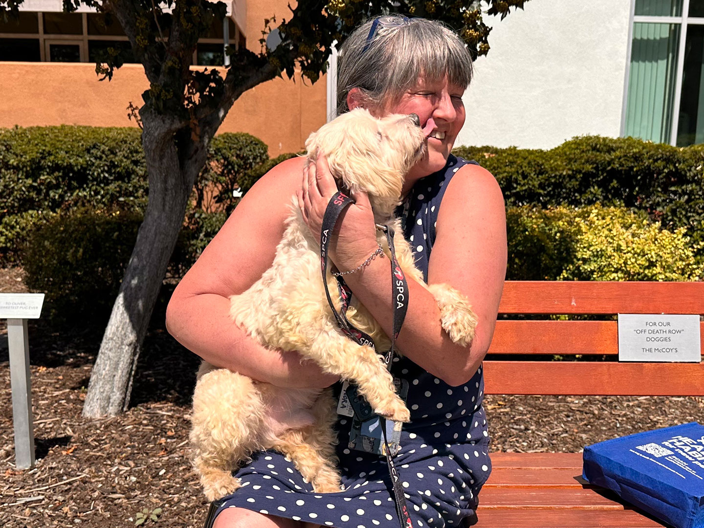 53,000 Adoptions and Counting: Joybound People & Pets Celebrates Major Milestone 