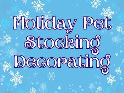 Holiday Pet Stocking Decorating