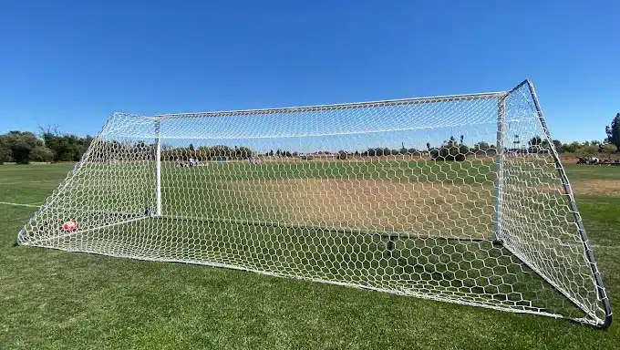 Mobile Adoptions at the Solano Soccer Club