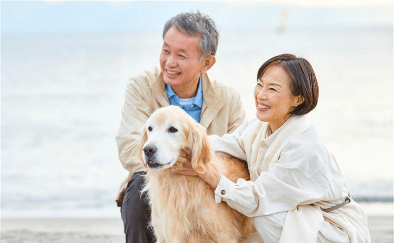 Paws & Plan: Estate Planning Webinar