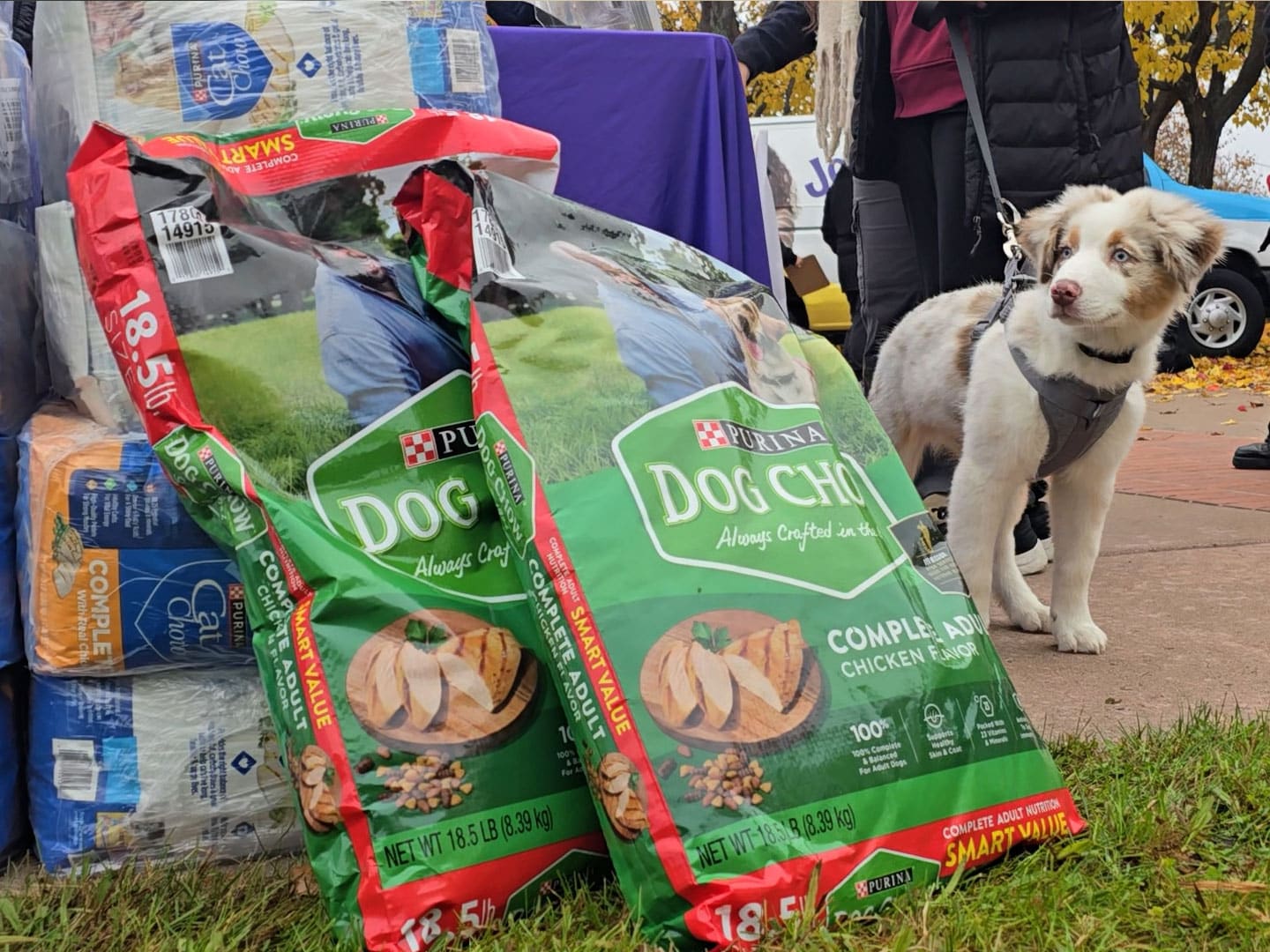 Your Support Filled the Food Bowls this Winter