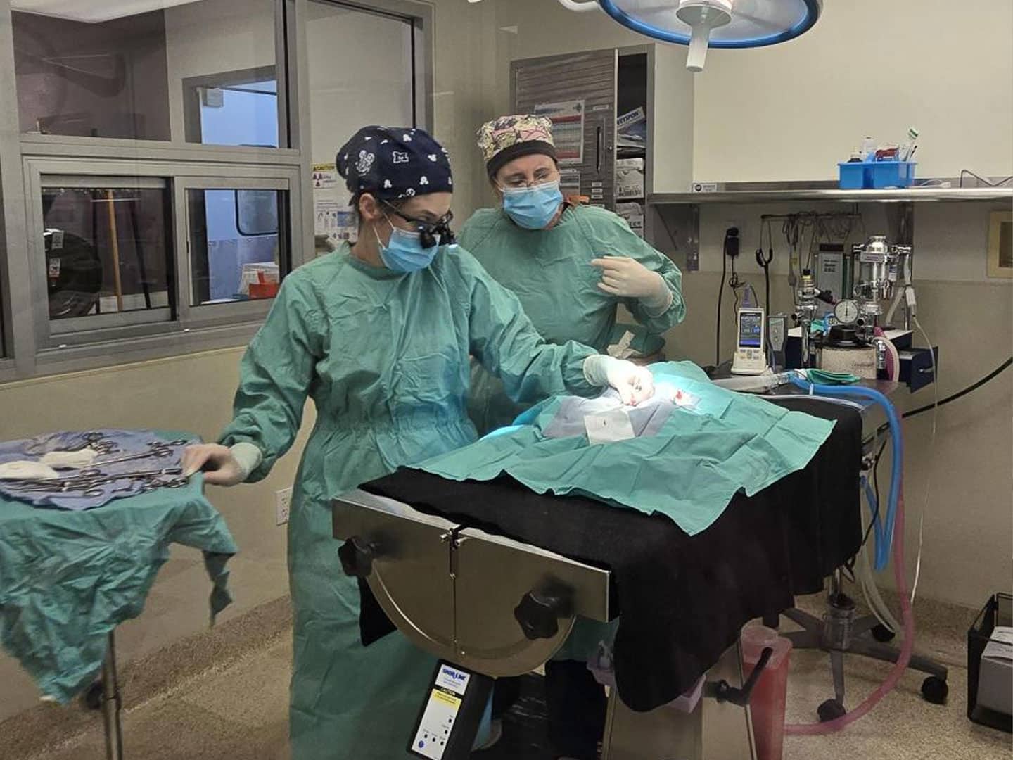 Community Cat Fix Fest Recap – March 28