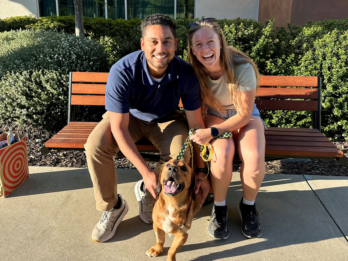 Adoption Recap – Week of March 23