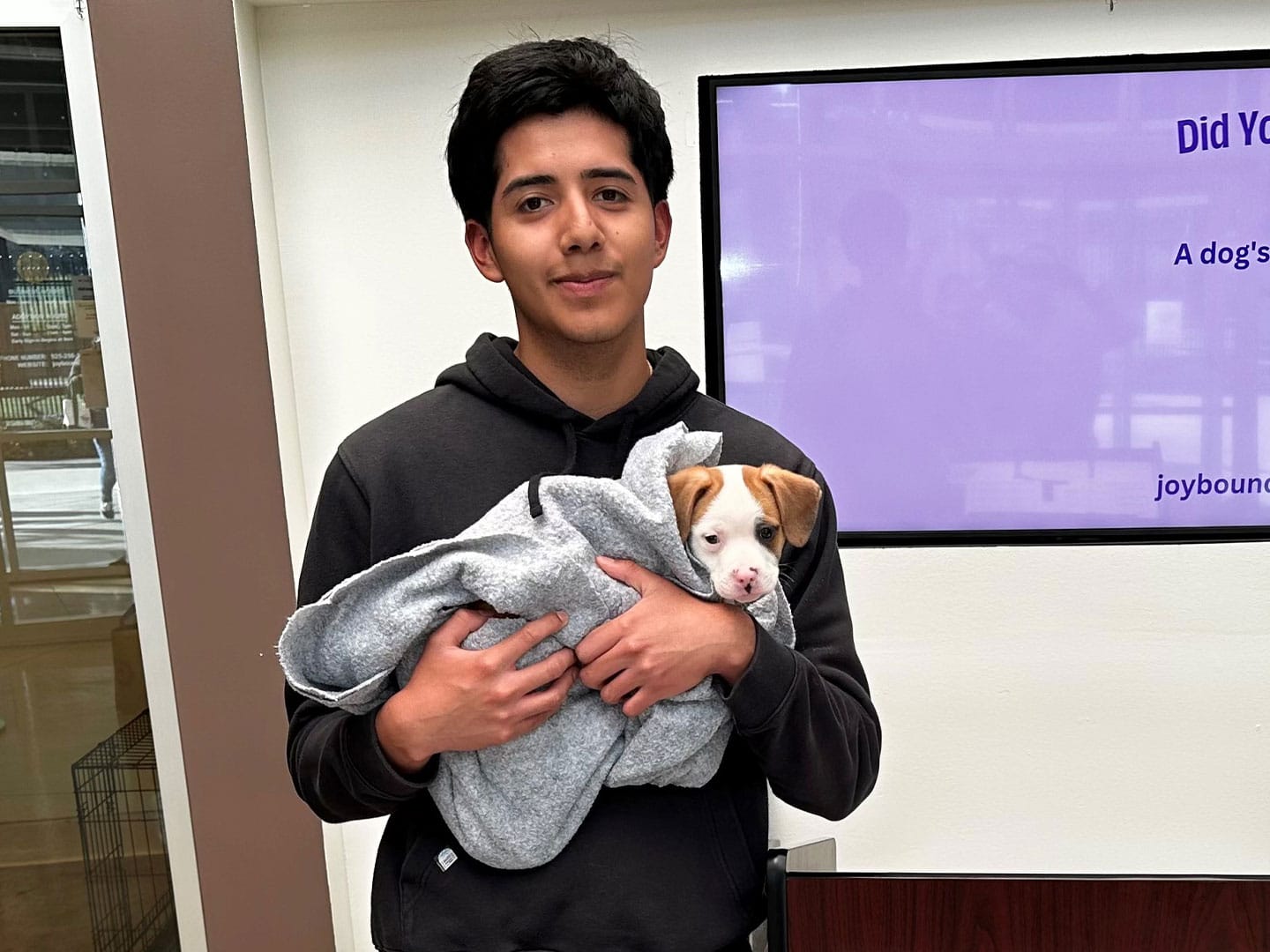 Adoption Recap – Week of March 2