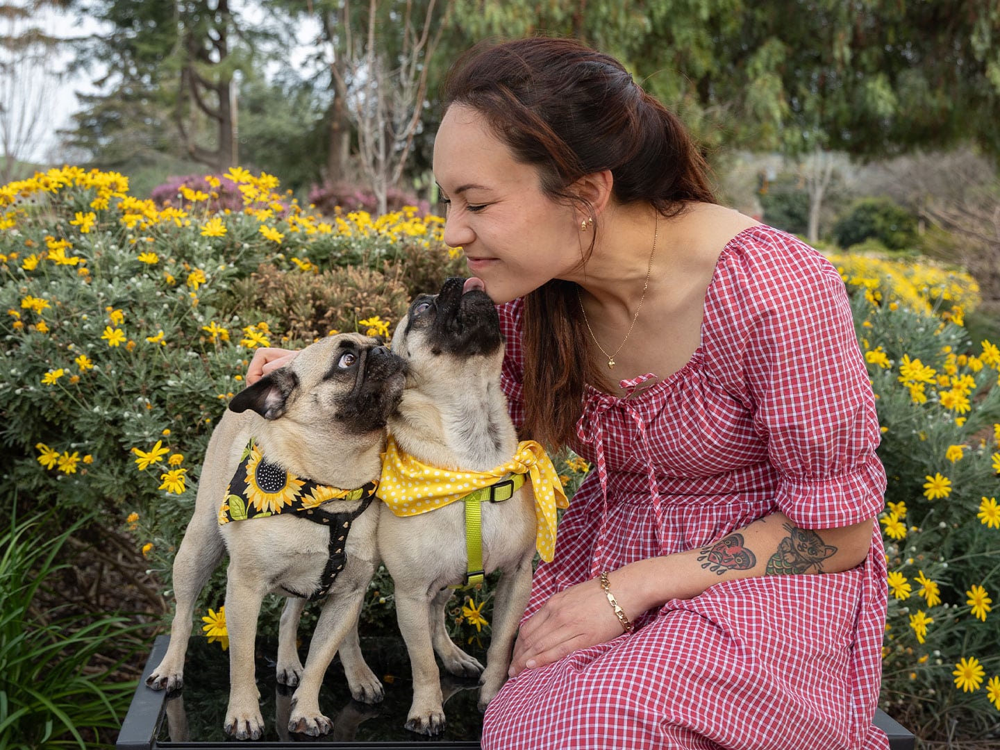 Spring Pet Photoshoot – March 7