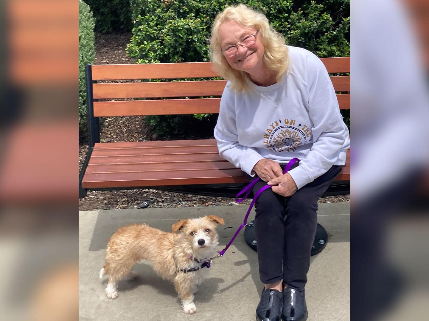 Adoption Recap – Week of April 20