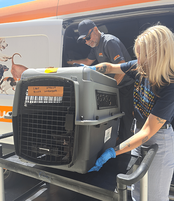 Stronger Together for People and Pets