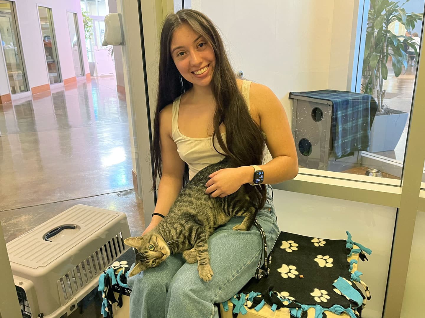 Pet Adoptions – Week of August 24
