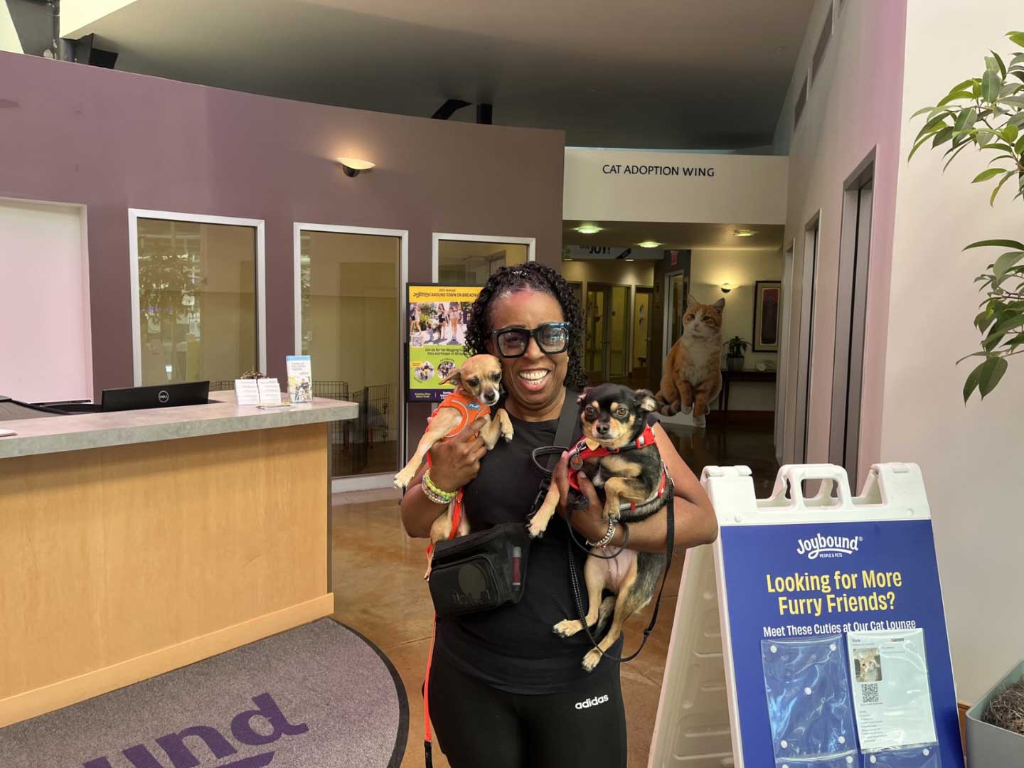 Pet Adoptions – Week of August 17