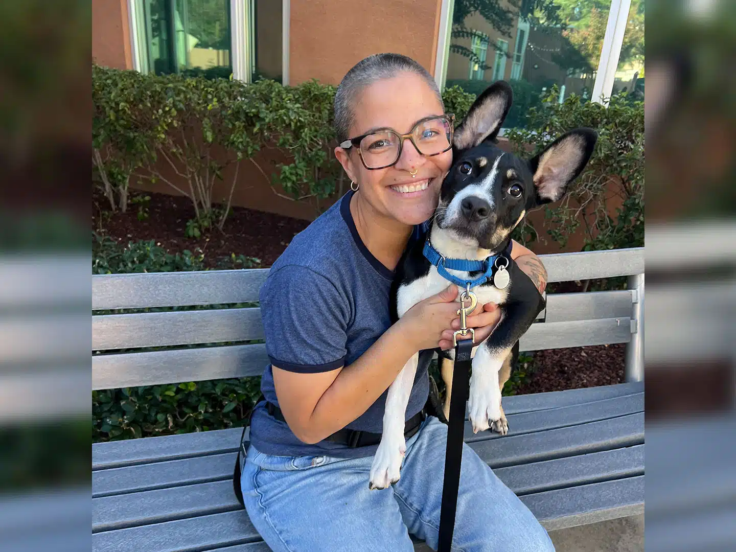 Pet Adoptions – Week of September 28